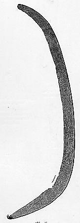 En ljå av jern fra yngre jernalder funnet i «Nordbakken» ved Hveemshagen i 1912. Ligner type Rygh 386.