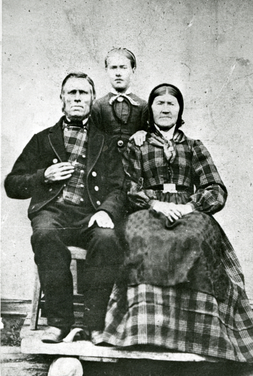 Familien i  Jønsrudbrøta i 1870 åra.