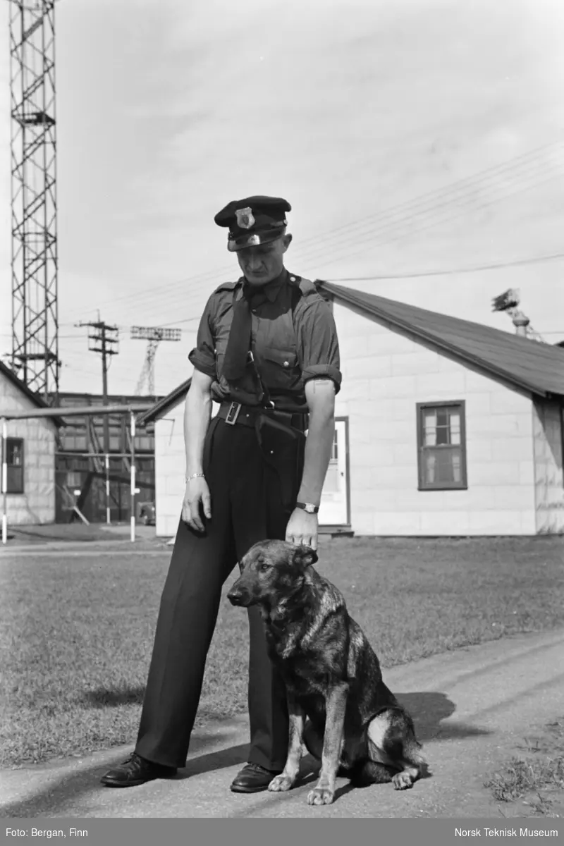 Person i uniform, og hund ved brakke, militærleir