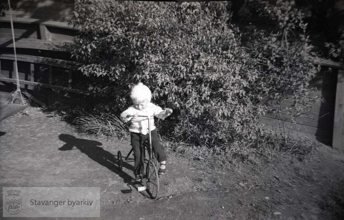Gutt på trehjulsykkel i hage eller park.