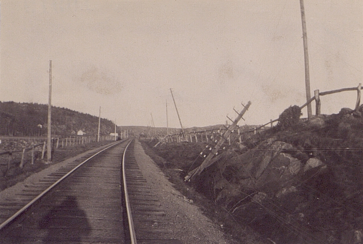 Linjeraset vid ll distr. Okt. 1921.