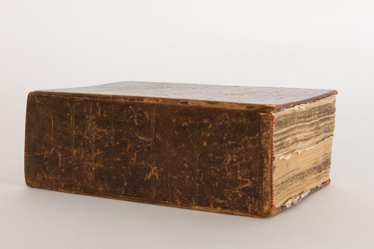 Bibel, skinninnbundet, publisert i 1858 hos Chr. Olsen i Frederikshald (Halden) med noen skader