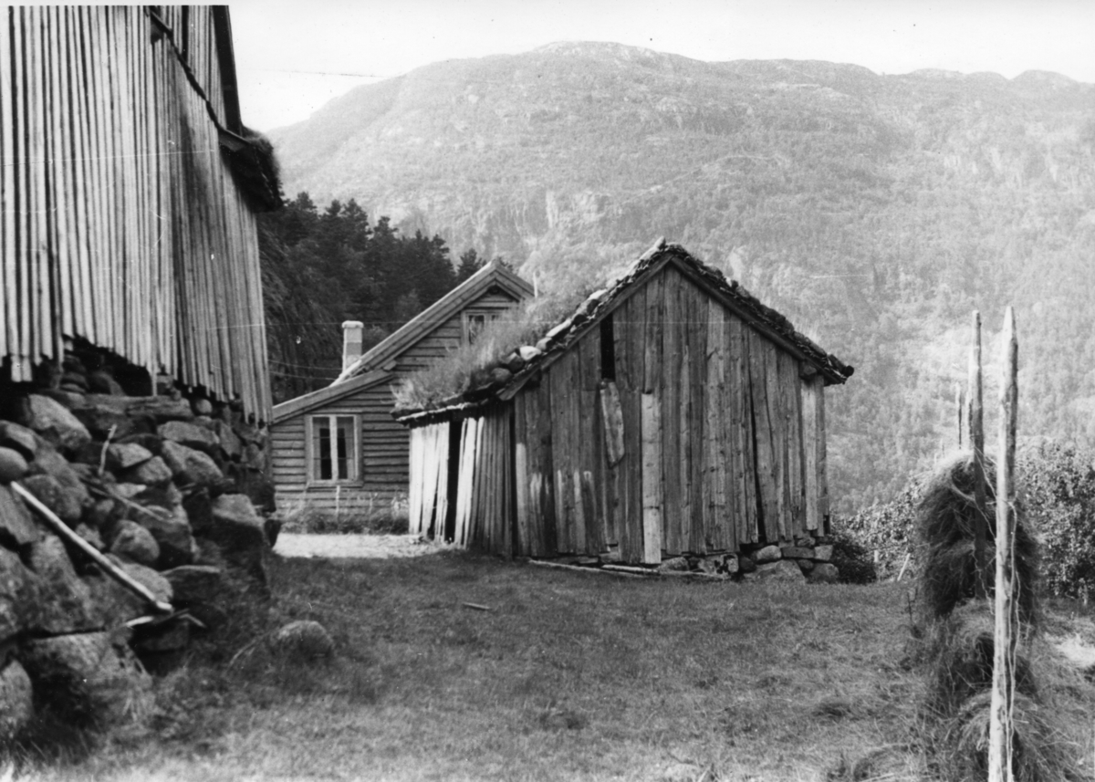 Nærbilde av hus på småbruket Tjørdalen ved Suldalsvatnet.