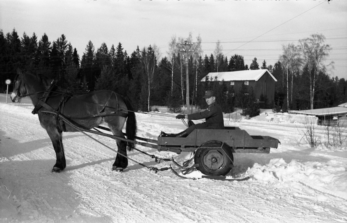 To bilder fra Hærens Hesteskole på Starum ca. årsskiftet 1957/1958. Bildene viser hest som trekker ei kjerre som er utstyrt med gummihjul, men hvor det er påmontert en slags ski for vinterbruk. Personen er ikke identifisert.