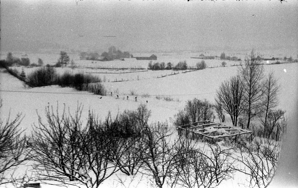 Vinterlandskap. To bilder tatt fra fotografens eiendom Odberg på Kraby i Østre Toten, i retning vestover. Midt i bildet gården Slagsvold.