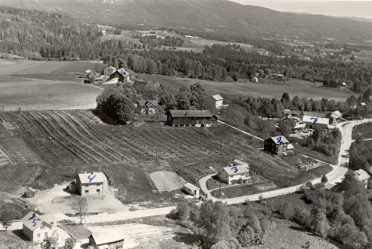 Flyfoto av Grivi i Bø, tatt 7. juni 1958.