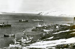 Båter på havna i Kirkenes, sett fra Toppenfjellet og ut Bøkf