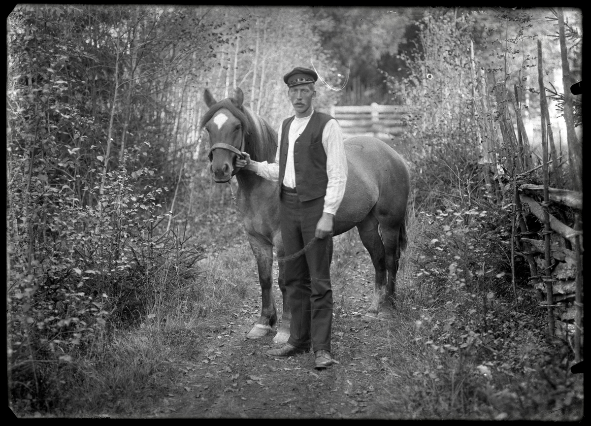 Lång-Erik leder häst på skogsväg