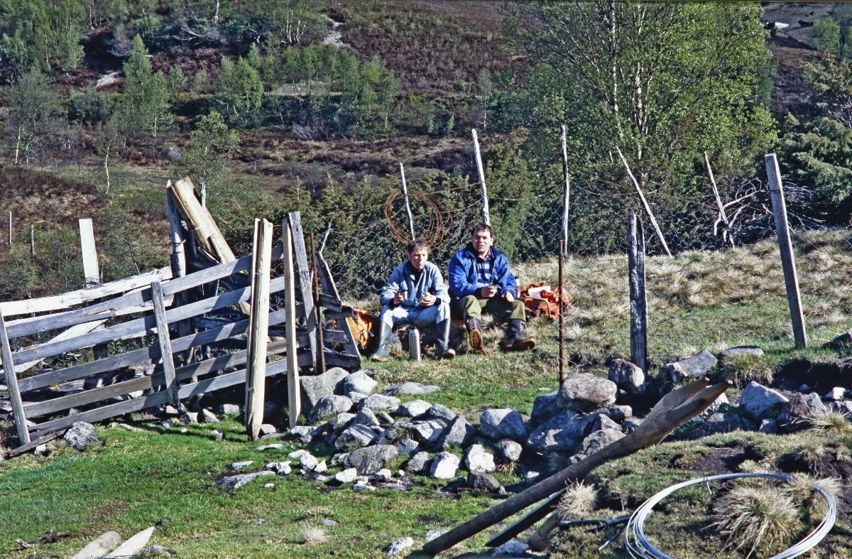 Gjerding i Skreå. Oddbjørn Ege og Sigve Skjæveland klar til å setje opp nette i Skreå.