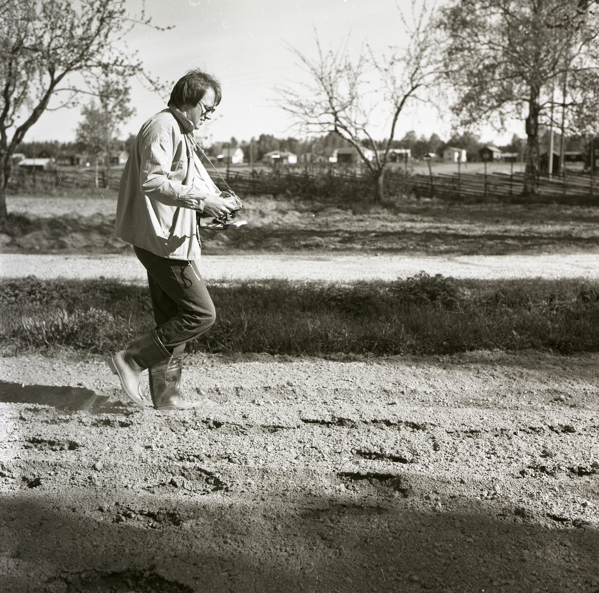En man iklädd jacka och stövlar promenerar i en linsådd, 3 juni 1985.