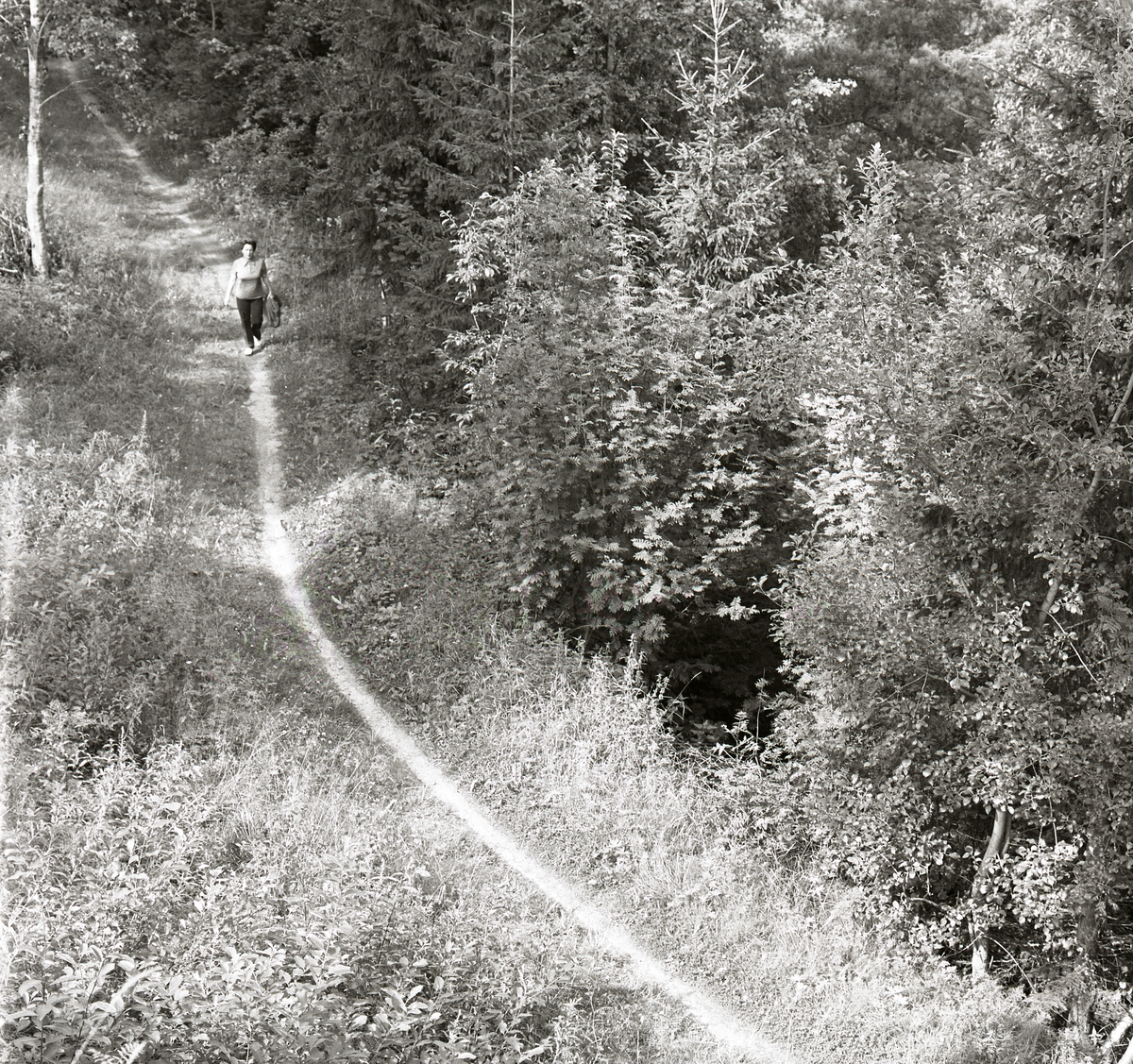 En kvinna går på en vandringsstig i Näsåker, augusti 1974.