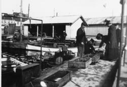 Fiskehandel på brygga, Kragerø 1914