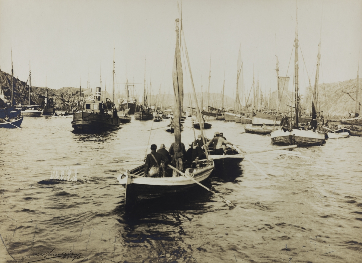 Vårsildfiske omkring 1900.