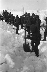 To befalsskoleelever graver i snøskavel, resten av troppen f