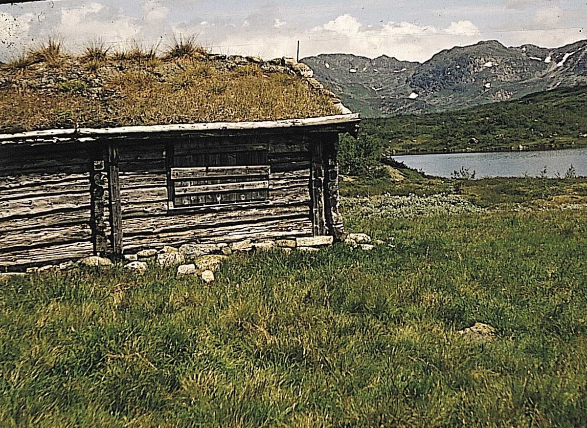 Flotti- Støylsbu (truleg i Botnedalen.)