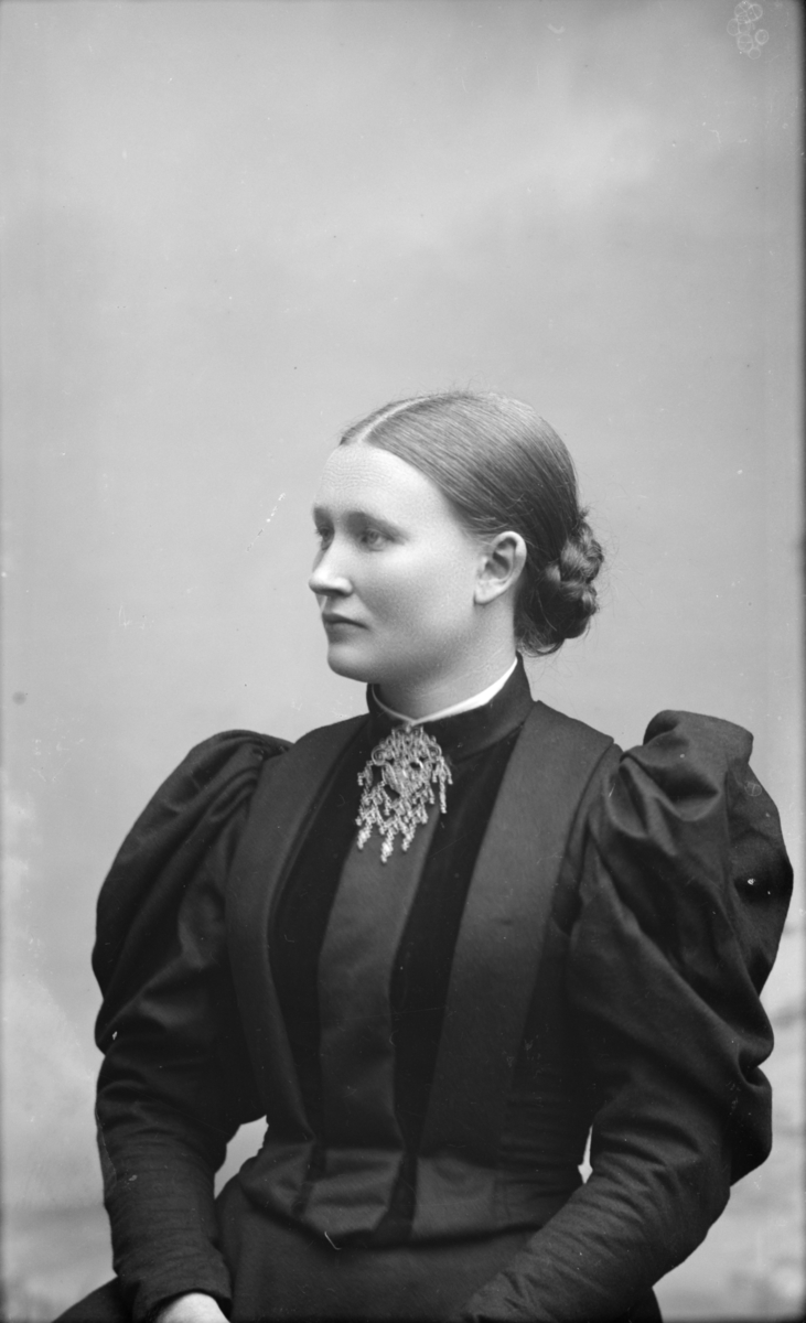 Portrett av yngre kvinne i flott kjole med puffermer og sølje