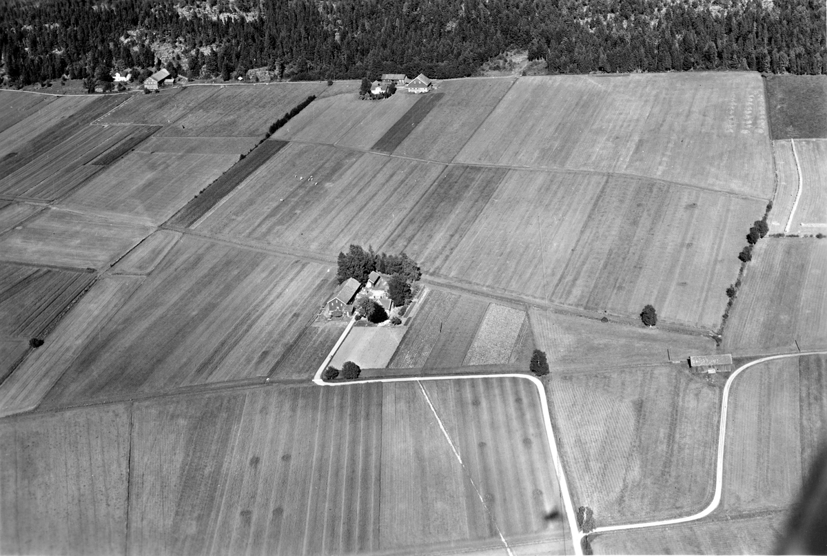 Flyfotoarkiv fra Fjellanger Widerøe AS, fra Porsgrunn Kommune, Slettene Gård. Fotografert 30/07-1951. Fotograf Otto Hansen