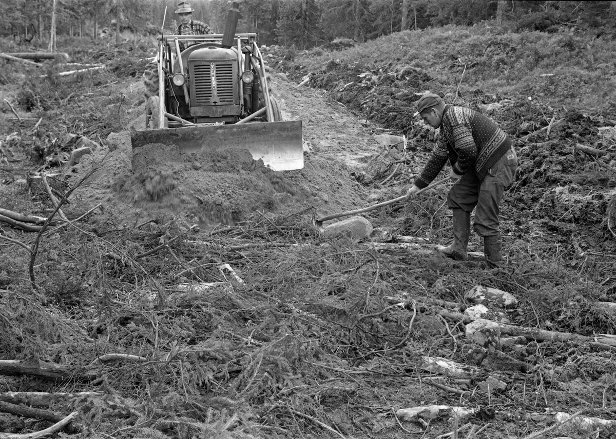 Vegbygging på fuktig mark i Treschow Fritzøes skoger i 1964. Her ser vi to menn og en traktor i aktivitet ved det som på dette tidspunktet var fronten i vegprosjektet. Fotografiet viser hvordan man hadde lagt hogstavfall – småtrær og kvist – i det som skulle bli veglinja, for å gi bedre bæring for de massene vegen skulle bygges av.  Disse massene ble skjøvet på plass ved hjelp av en David Brown-traktor med frontmontert skjær med bistand fra en mann med krafse. 

Vegbygging var en sentral aktivitet i norsk skogbruk de første tre tiåra etter 2. verdenskrig. Det var viktig å legge an arbeidet slik at man i størst mulig utstrekning fikk utnyttet skogens produksjonsevne med den nye driftsteknologien som vant innpass i den samme perioden. Under planlegginga av skogsbilveger var det et viktig premiss at anleggsomkostningene skulle vurderes i forhold til antatt transportgevinst, som igjen var avhengig av avvirkningskvantumet i vegenes nærområder i overskuelig framtid. Det var åpenbart at anleggskostnadene ville variere etter hvilken kvalitet vegen skulle få, etter hvordan terrenget var og etter hva slags mark den skulle legges på. Billigst var det å legge vegene der det var bæredyktige løsmasser. Morenegrunn, som det finnes mye av i norske skoger, ble ansett for å være ideell, for på slikt underlag kunne en få et stabilt veglegeme ved å bruke stedegne masser. Leiraktige sedimenter, matjord, myrmasse og skogstrø hadde derimot en tendens til å «suge» for mye fuktighet, noe som reduserte vegenes bæreevne og innebar stor fare for telehiv. Til steder med slik grunn måtte det hentes mer bæredyktige masser fra andre steder, noe som var kostnadsdrivende. Følgelig advarte skogbrukets eksperter mot å legge skogsbilvegene over myr, og dersom dette likevel måtte gjøres, var rådet å krysse myra på et sted der myra var grunn – altså et sted der laget med bare delvis nedbrutt organisk materiale, torv, var forholdsvis tynt – slik at avstanden ned til mer bæredyktige masser var kort. På dette fotografiet forsøkte man åpenbart å styrke vegens bæreevne ved å legge hogstavfall mellom underliggende torvgrunn og de tilkjørte grusmassene.