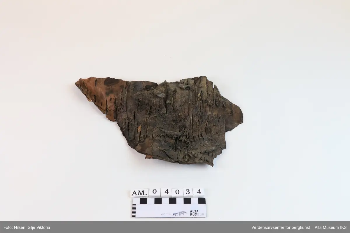Ett stykke never/bark av ukjent tre (mulig furu), brukt i en tjæremil på Skillemoen i Alta kommune. 
Stykket er antageligvis 3-400 år gammelt. Det er forkullet og brent.