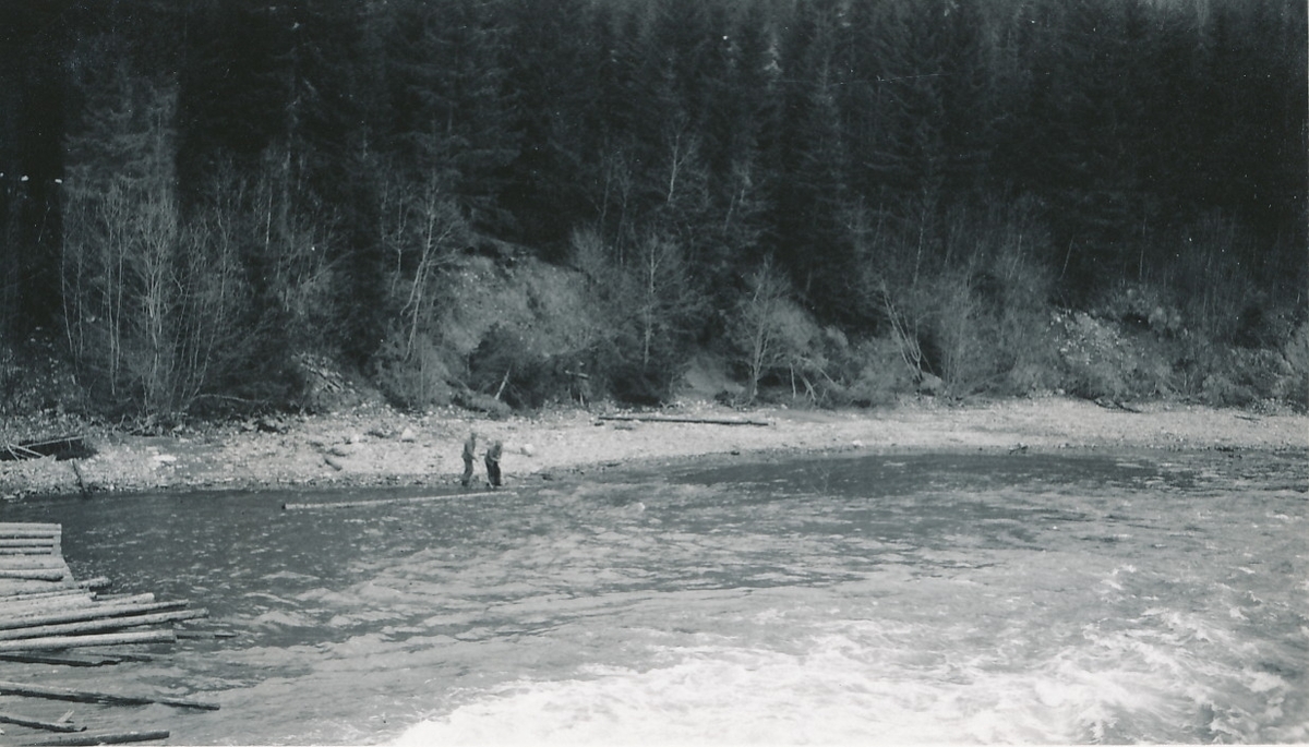 To menn står ved en elvebredd og er i ferd med å håndtere en tømmerstokk med fløterhaker. Det ligger flere stokker i elven til venstre i bildet.