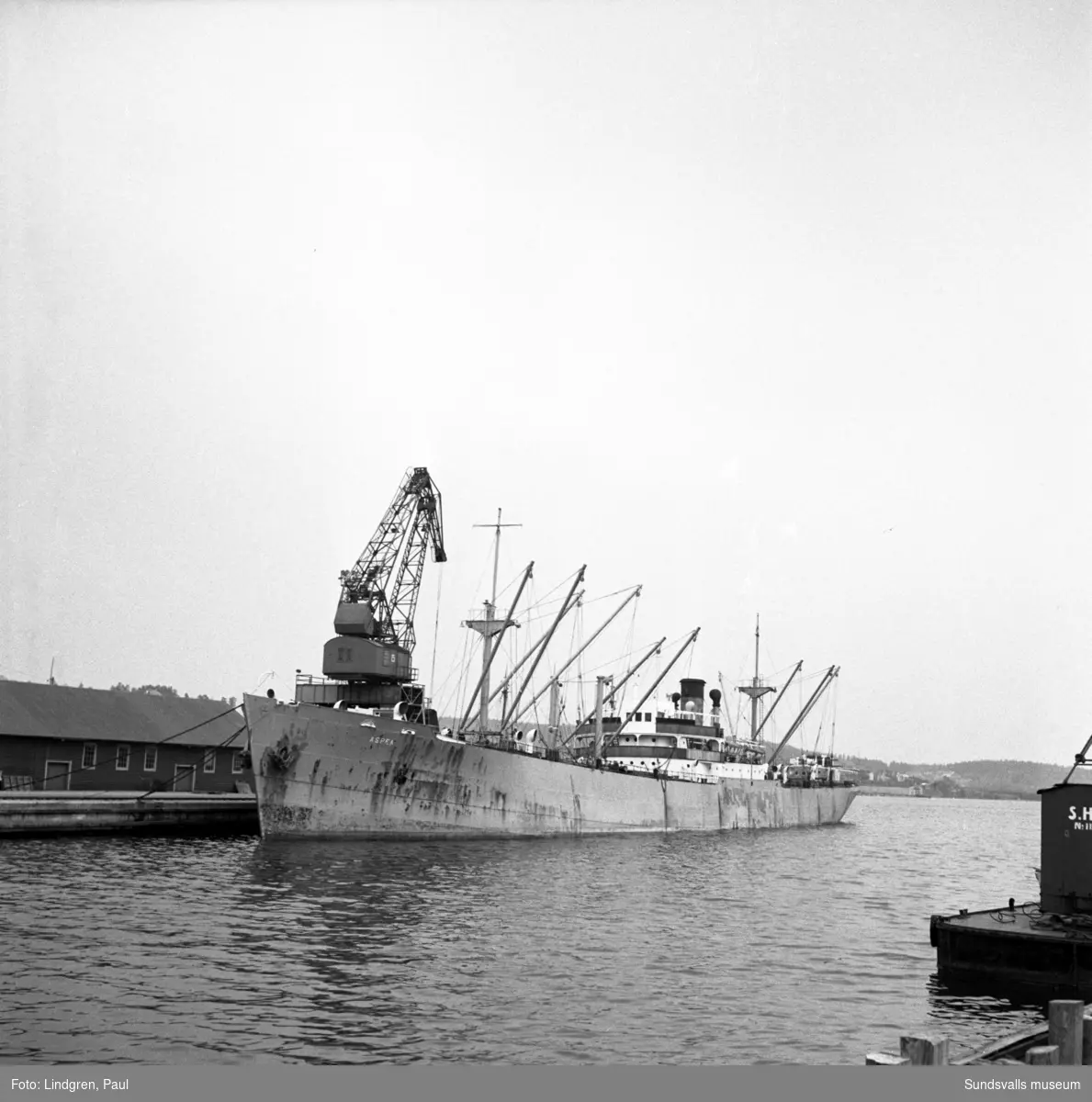 Lastfartygen Aspen och Cumulus i Sundsvalls hamn. Aspen, som lossade den största kollast (8 350 ton) som då någonsin fraktats upp till Sundsvallsdistriktet, och var avsedd för Sundsvall och Svartviks fabrik. Cumulus var det modernaste och snabbaste lastfartyg som angjort Sundsvall. Fartyget skulle lasta massa för att därefter gå till Australien.
