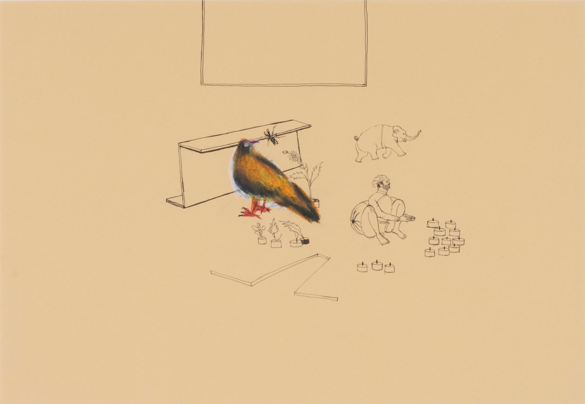 Fugl [Tegning]
