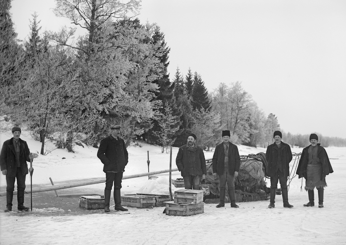Notdragning av strömming på Gropviken i Sankt Anna. Fotografen har förevigat fiskelaget på isen invid torpet Storskogen under Ramsdal. Året är 1914.