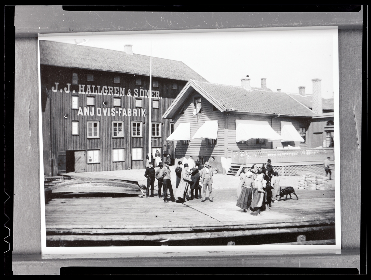 J. J. Hallgrens ansjovisfabrik på Gullholmen