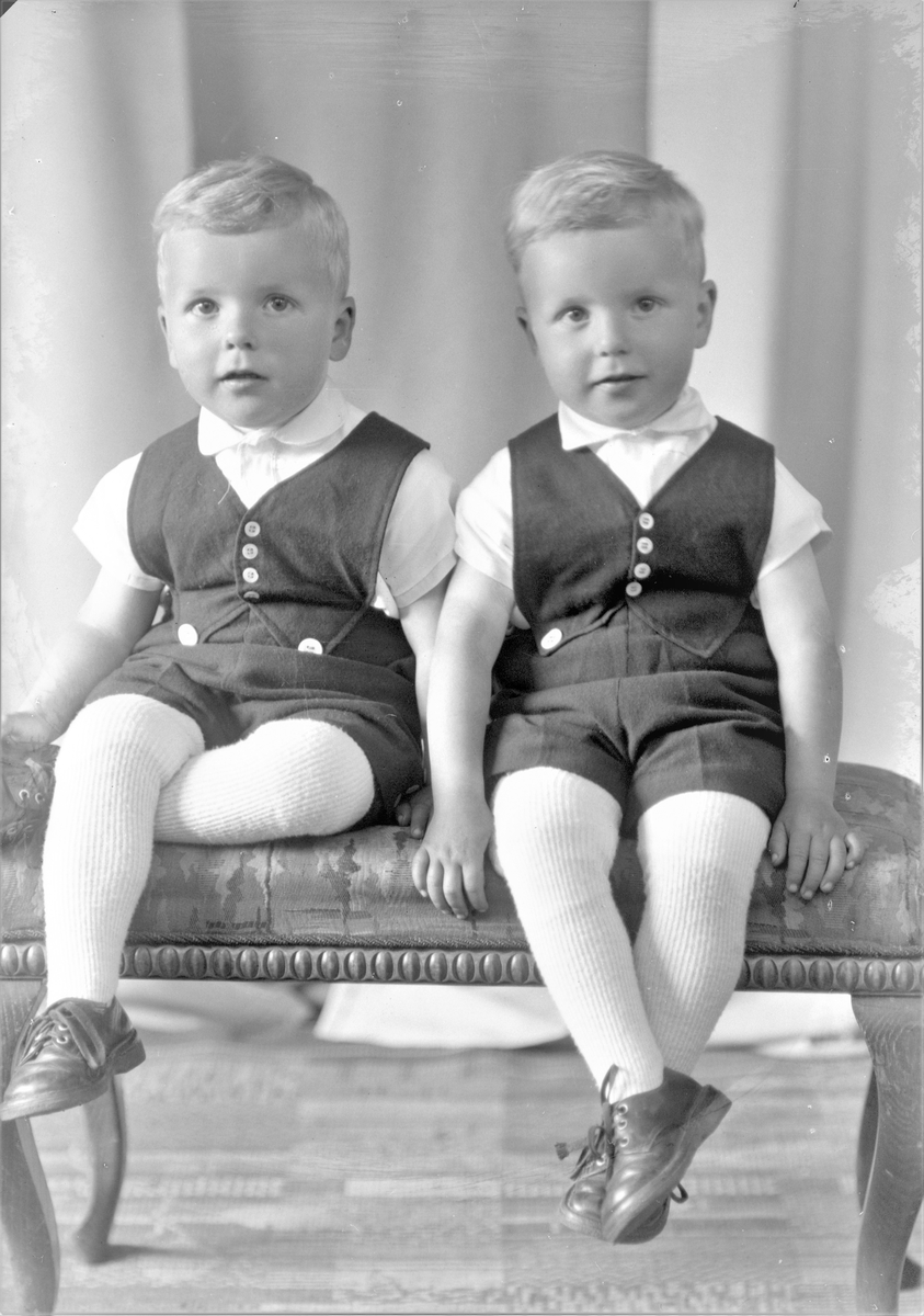 Portrett. Famliegruppe. To unge gutter. Tvillinger. Bestilt av Ole Askeland