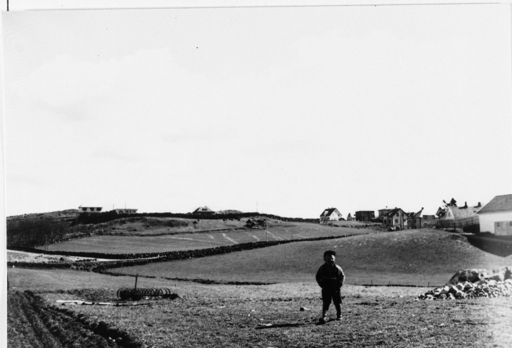 Brynehaugen fotografert frå RV 44. Øvst til venstre Ørnahaugen. Til venstre garden med løa til Sven Tollaksen Bryne.