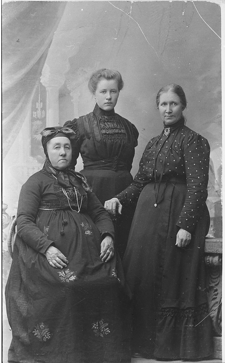 Tre kvinner. Ragne Rolfsrud (f. Blegeberg), Else Rolfsrud (usikker) og Sigrid Blegeberg. Den første er kledd i "fjellkler", mens de øvrige følger bymoten.