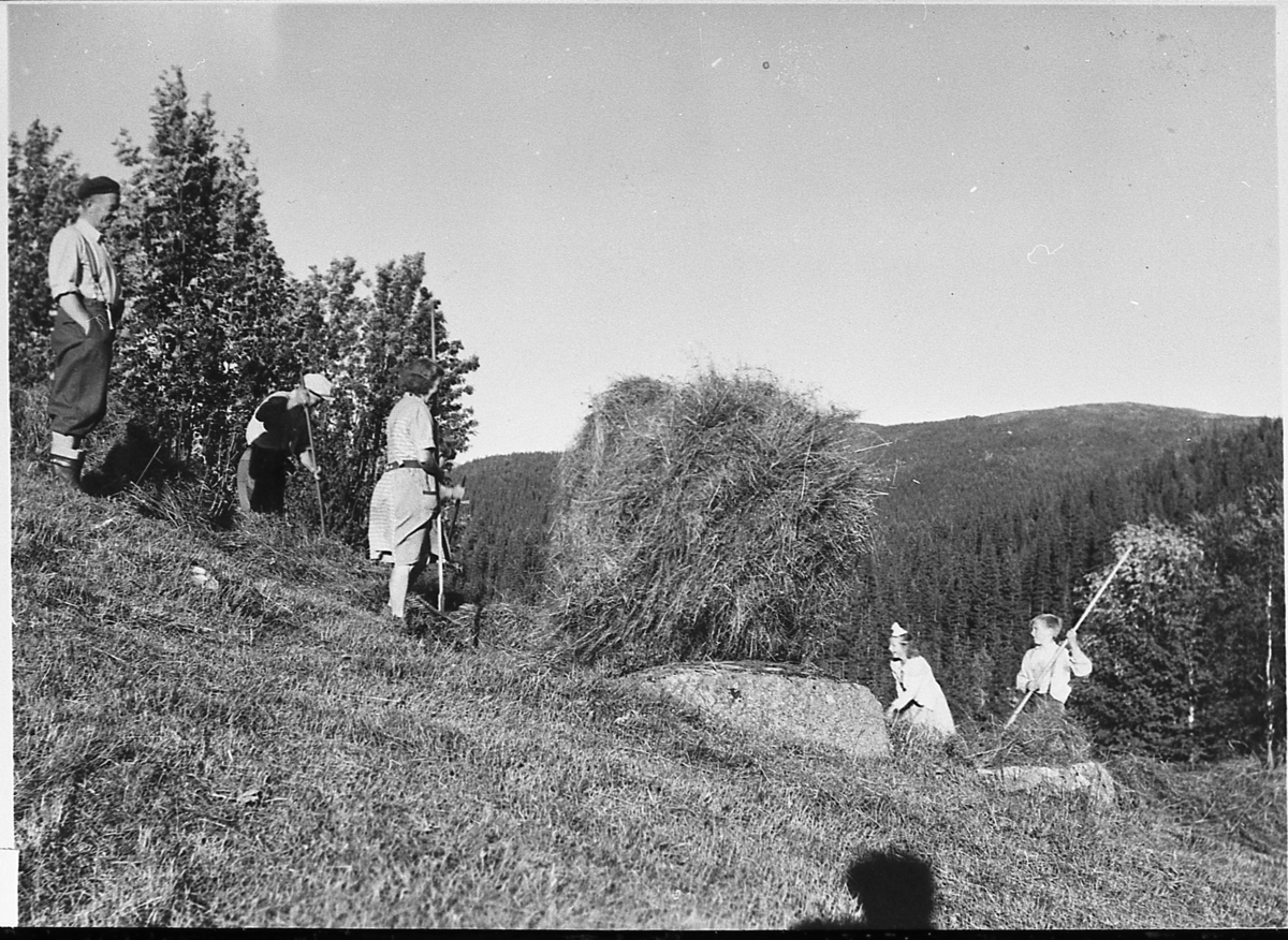 Forberging på heimsetra under Frøvoll, 1944-45. 