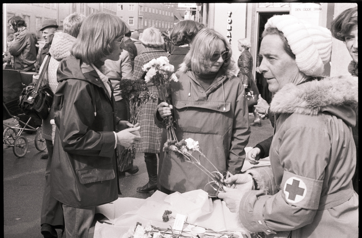 Røde Kors hjelpekors selger nelliker i Harstad sentrum.