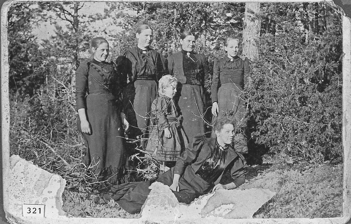 Gruppebilde av kvinner i skog. Muligens fra Søndre Kvisle, ca. 1900. 