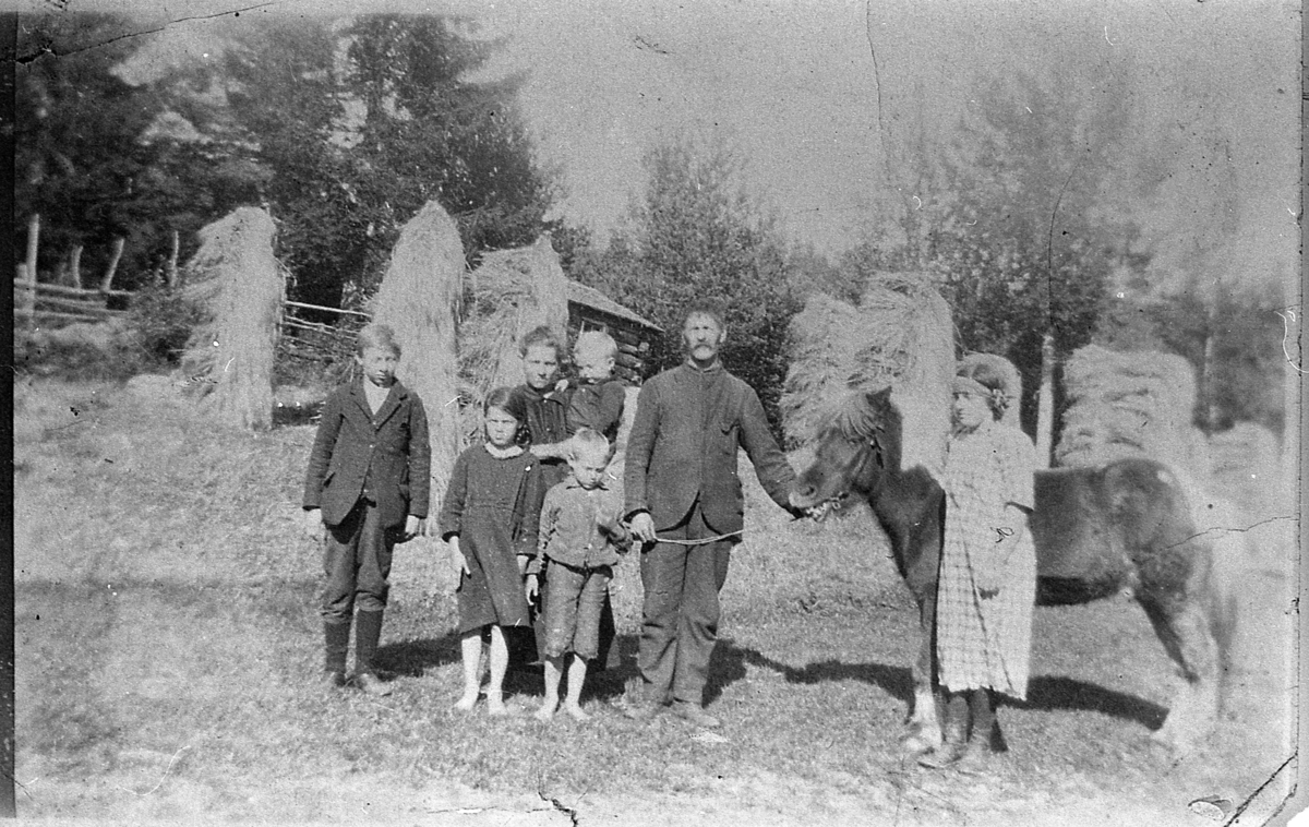 Barn og voksne under skuronna på Emmerud,  med islandshesten Prinsen. 1925.