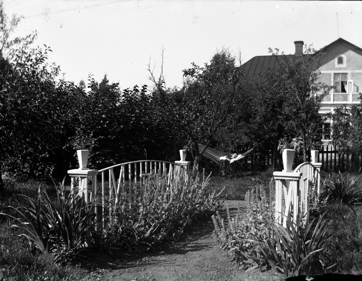 John Liedholms glasplåtssamling. Trädgården vid hans hem på Odengatan.