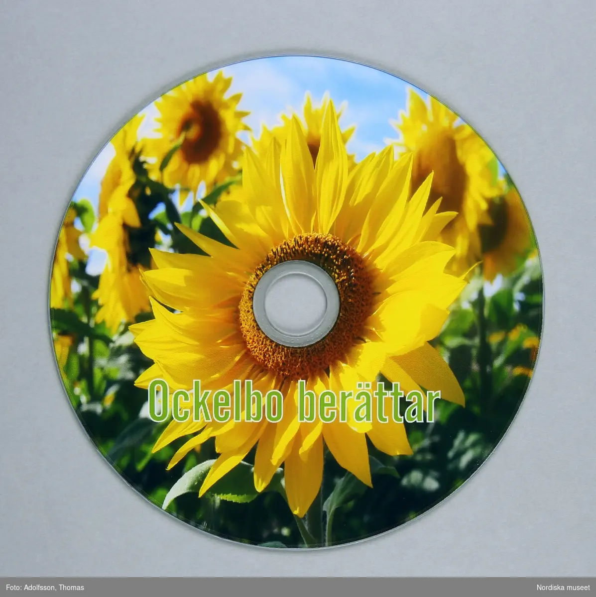 DVD-skiva av plast, hål i mitten, på ena sidan blank, på andra bild av solrosor och text "Ockelbo berättar".  Nummer instansat vid hålet "9361E1825 10860W03". 
/Leif Wallin 2015-01-08