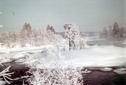 Elveleie, vinterstid i Pasvik.
