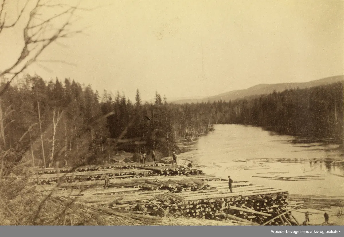 Tømmerstilling ved Rotna. Grue på Finnskogen. .Ca. 1910 - 1920.