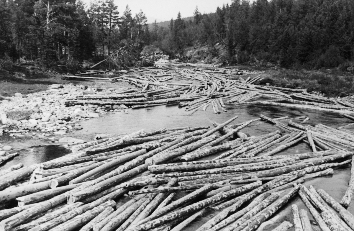 Fløtingstømmer i Nordre Murua i Sel kommune i Gudbrandsdalen. Dette fotografiet skal være tatt i 1941, Vi ser ned på et elveløp, i medstrøms retning, der det lå mye barket fløtingsvirke, som med den vannføringa Murua hadde på dette tidspunktet, ikke fulgte med vannstrømmen videre mot sammenløpet med elva Sjoa. Her måtte det mer vann, og betydelig innsats fra fløtere med haker, til for å få elva utfløtt. Murua kommer fra myrområdene sør for Murudalsvatnet og renner nordover gjennom Murudalen og Meringsdalen via Meringdalsvatnet før den under navnet Nermuru faller inn i Sjoa like sør for Nedre Tråsåfossen. Murua skal være om lag to mil lang. Den var fløtbar fra Murudalsvatnet og nordover. Elveløpet var imidlertid steinete, noe som innebar at tømmeret hadde lett for i sette seg fast på ører. For å kunne magasinere vann som kunne heve vannspeilet i elva, slik at tømmeret fløt over slike hindringer, skal det ha vært en fløtingsdam, Bjørnstaddammen, like nord for kommunegrensa mot Nord-Fron. Dette fotografiet ble tatt i 1956.