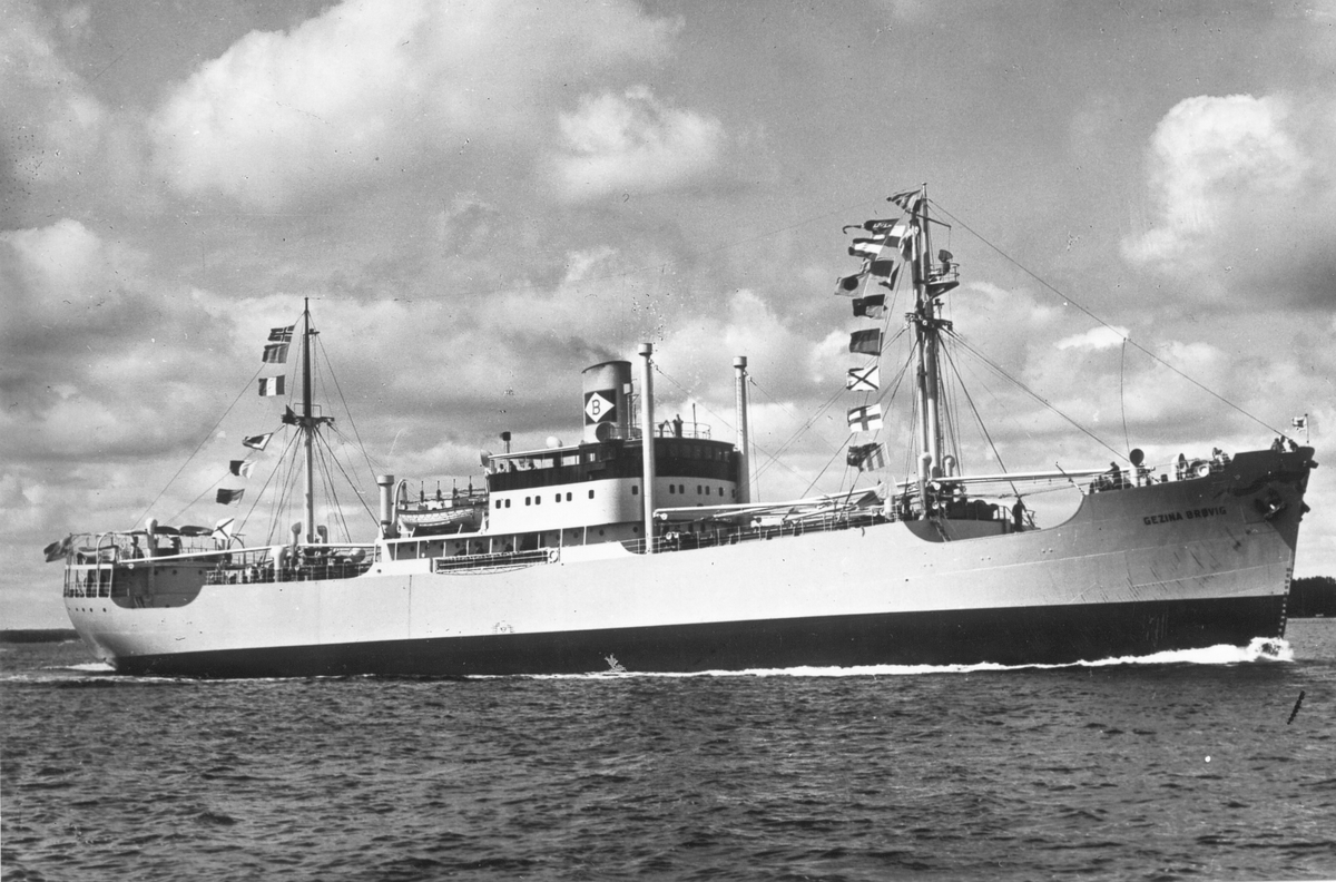 S/S Gezina Brøvig, byggd 1950 vid Gävle Varv.