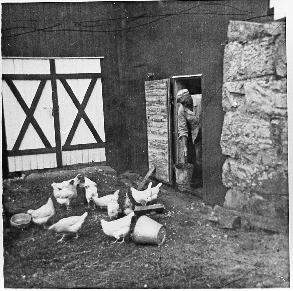 Foran hønsehuset i Setra, 1955.