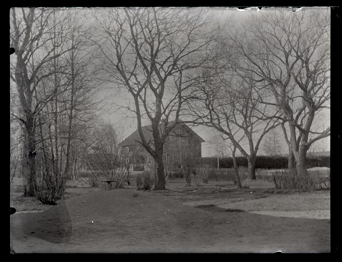 Bostadshus i trädgård, ca 1910.