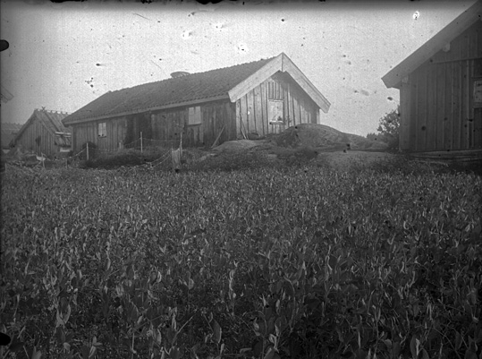 Torp och uthus, Lillhärad ca 1910.