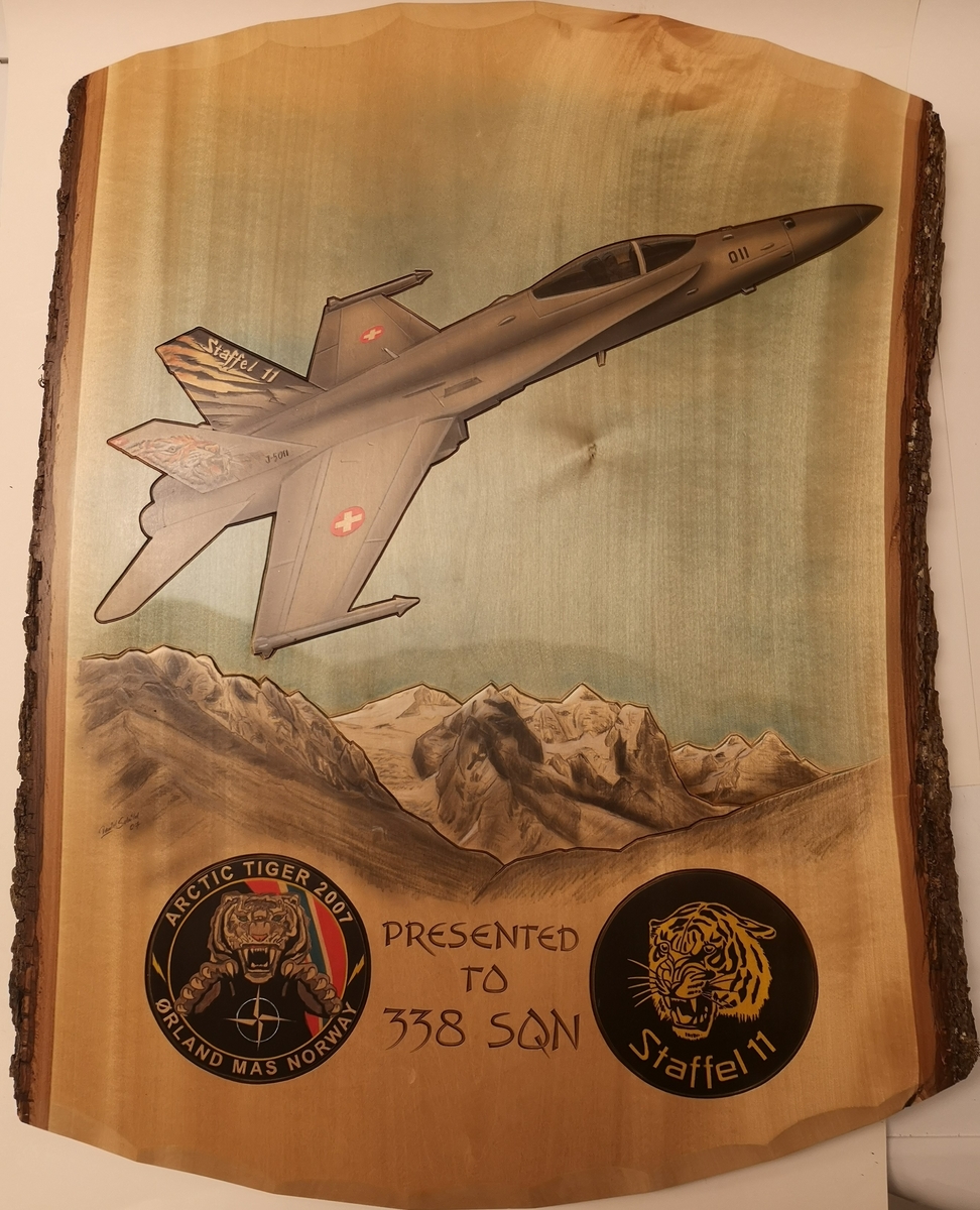 Treplakett (63,5 x 50 cm), med påmalt motiv; F-16. I tillegg to emblem inngravert "Arctic Tiger 2007" og "Staffel 11". Inngravert text i plate, Presented to 338 sqn.