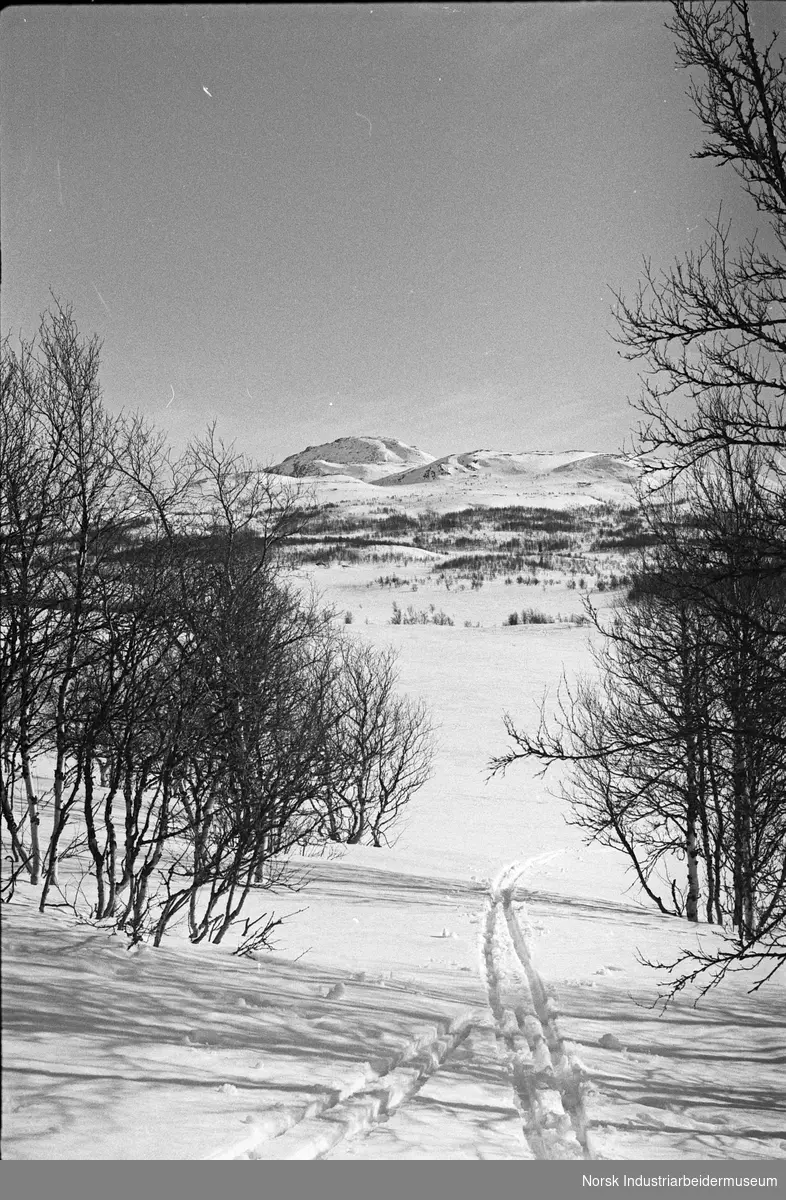 Skispor i vinterlandskapet i Møsvannsområdet.