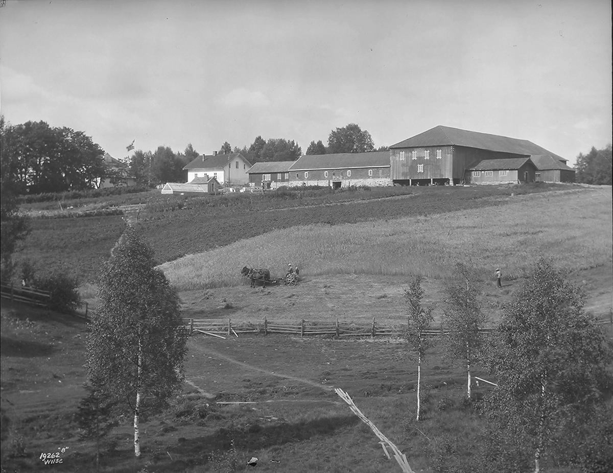Kårbolig og fjøs, dyrket mark, Skansgården. Fotografert 1925.