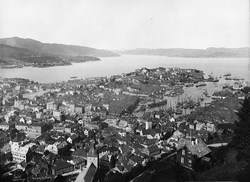 Prot: Bergen Panorama fra Fløifjeldet II