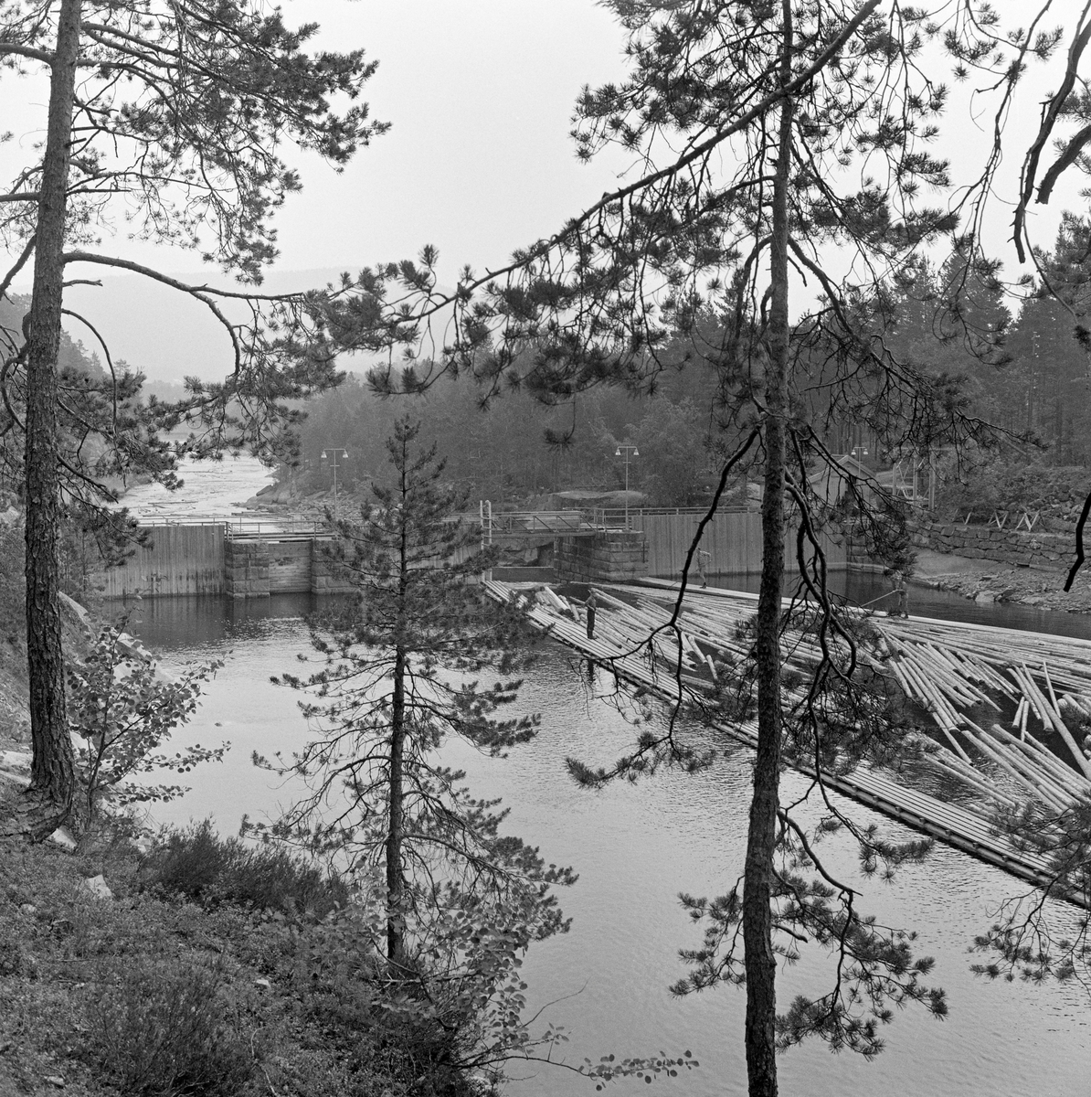 Tømmer ledes gjennom nåledammen. Nisserdammen i Arendalsvassdraget. Nisser dam ved utløpet av innsjøen Nisser i Telemark.