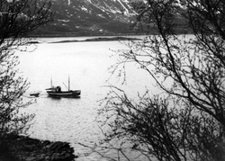 M/K "Saltind" i fart forbi Molnesset i Kvæfjord.